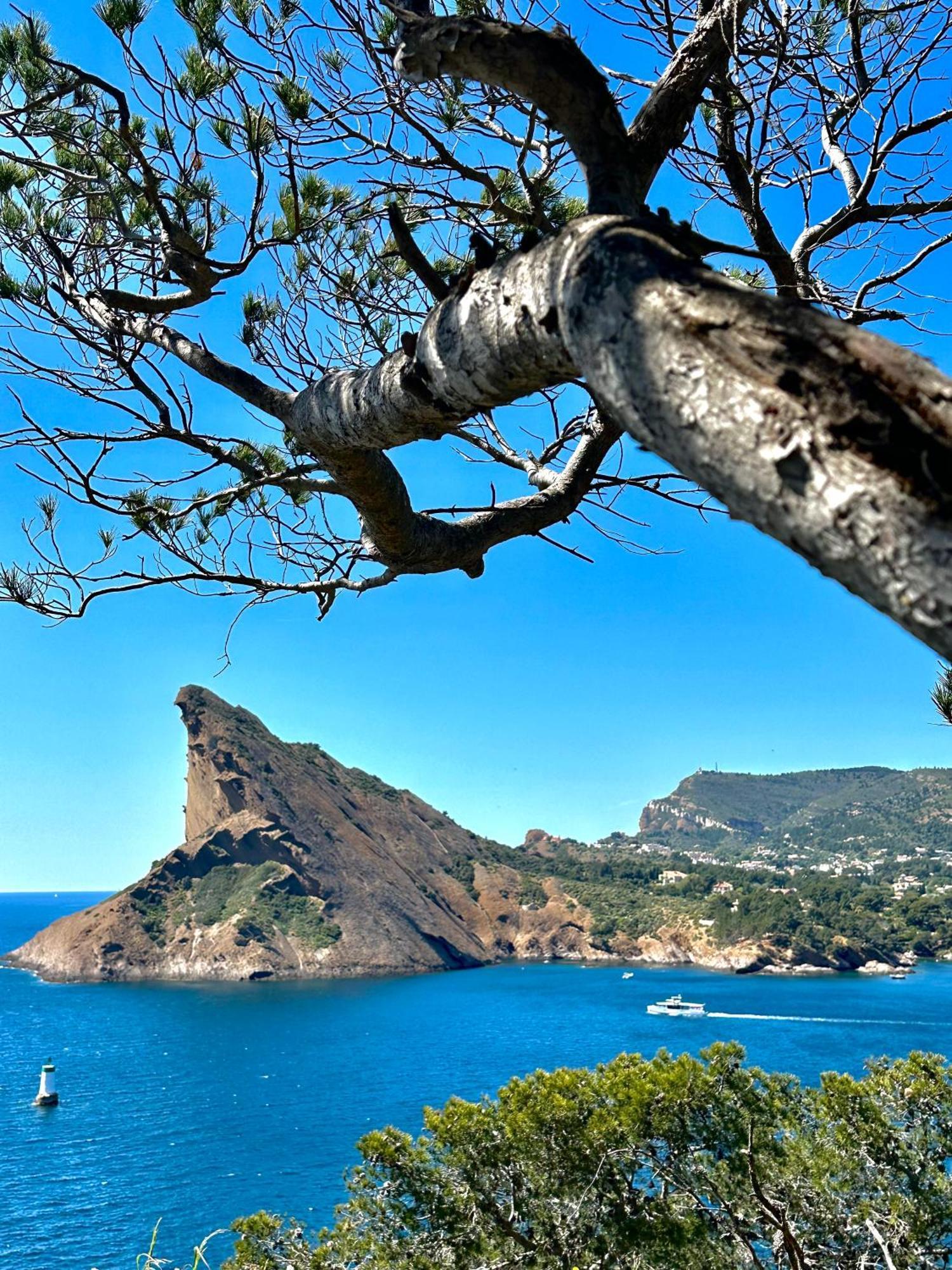 Appartamento L'alceste La Ciotat